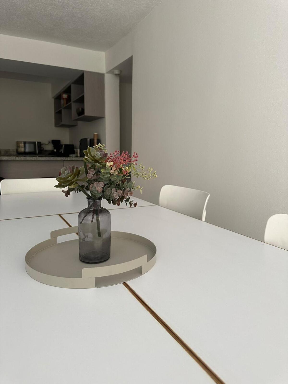 Modern Apartment, San Francisco Neighborhood San Salvador